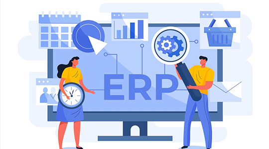 erp development