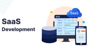 saas development